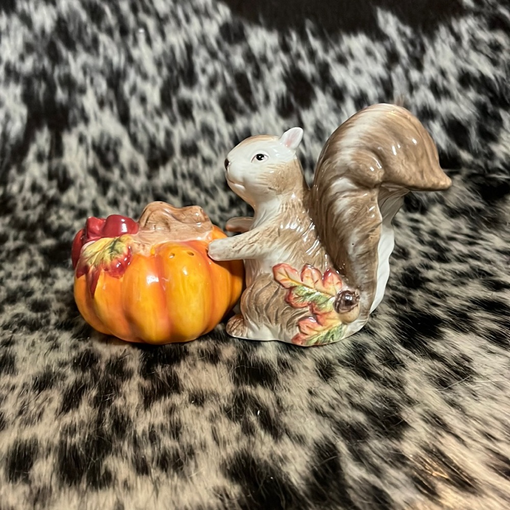 New in the box fall squirrel and pumpkin salt and pepper shakers